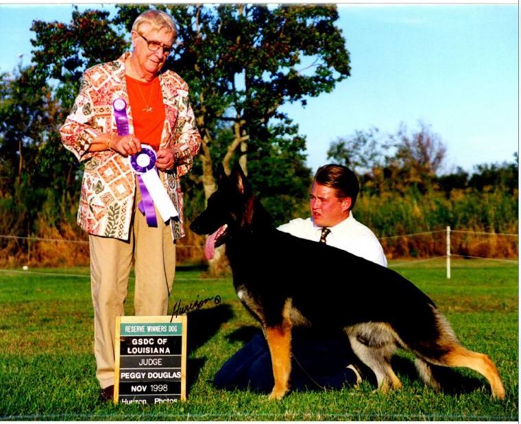 AKC Professional Handler, Michael Sherman Nov 1998