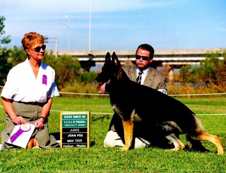 AKC Professional Handler, Michael Sherman and Santiago