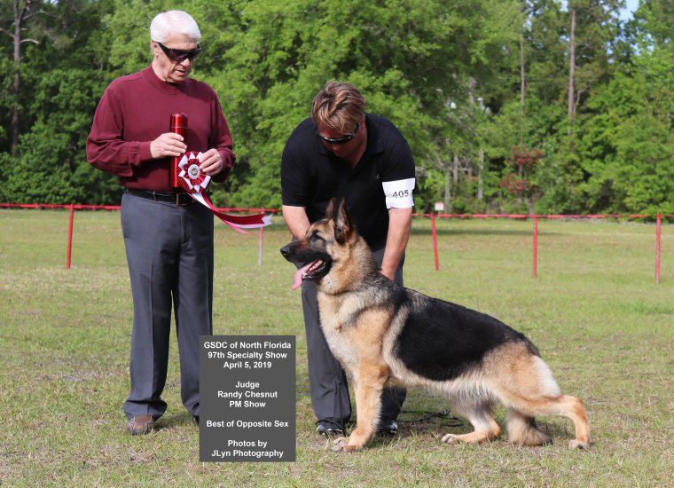 Layla Judge: Randy Chesnut