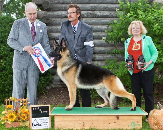 Tucker BIS July 2013