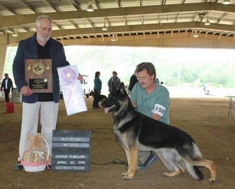 Malachi Maturity Dog Southest Region 2014