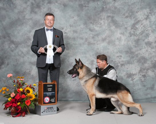 Emerson 4th Place Open Dog GSDCA Nationals Gray Summit, MO